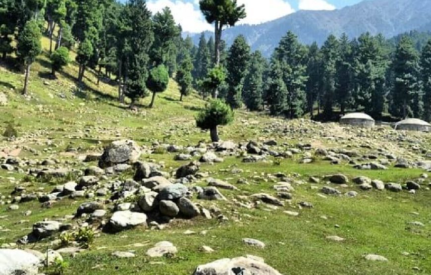 Dabyan Valley – Jammu & Kashmir