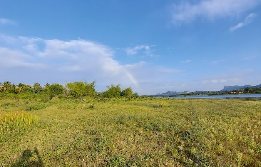 Backyard Camp | Farm Stay and Paid Campground in Bangalore (Nayakanahalli)