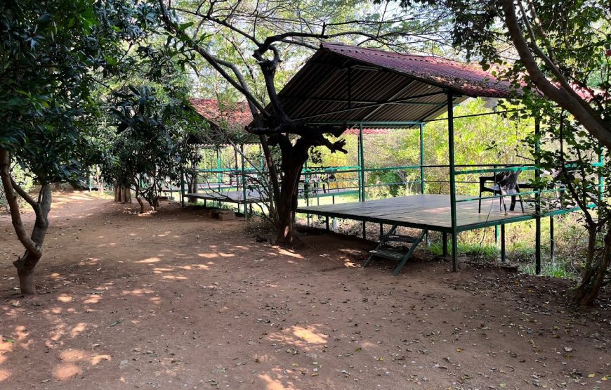 Backyard Camp | Farm Stay and Paid Campground in Bangalore (Nayakanahalli)
