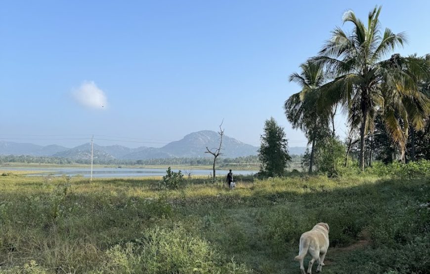 Backyard Camp | Farm Stay and Paid Campground in Bangalore (Nayakanahalli)