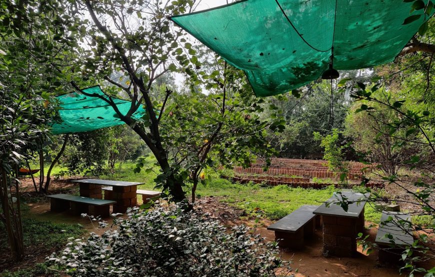 Backyard Camp | Farm Stay and Paid Campground in Bangalore (Nayakanahalli)