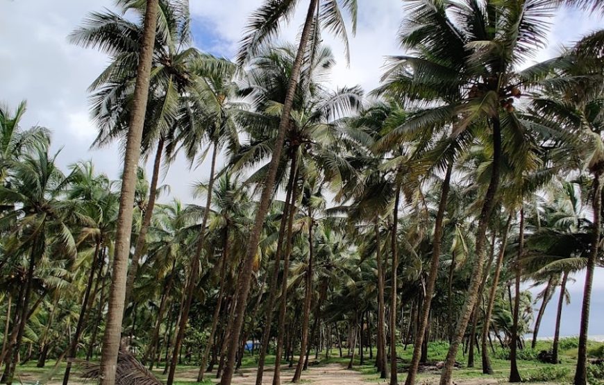 Delta beach backwaters / Kodi Bengre Beach – Karnataka