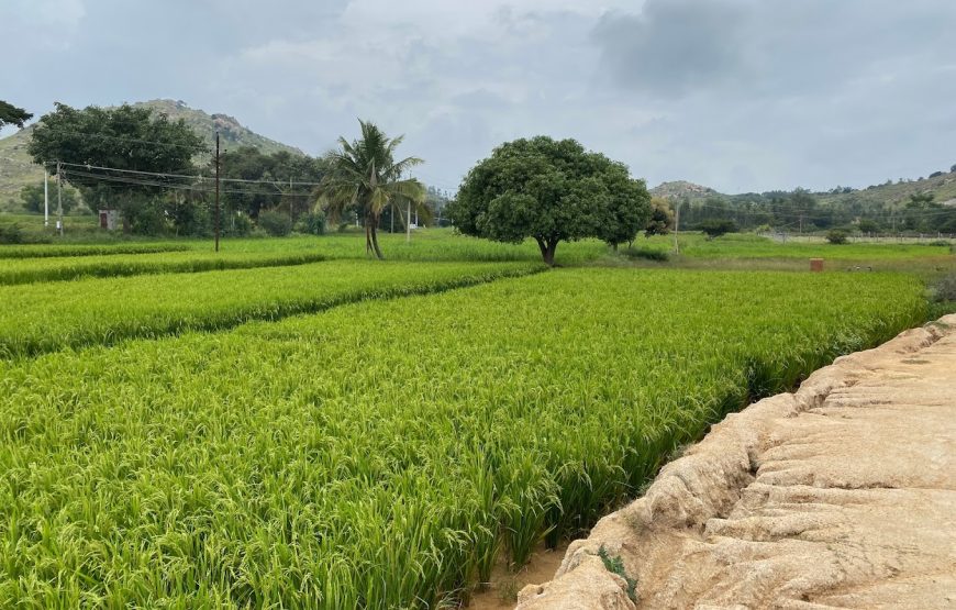 Avathi Lake – Karnataka