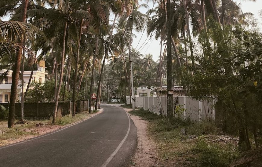 Delta beach backwaters / Kodi Bengre Beach – Karnataka