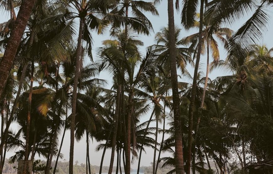 Delta beach backwaters / Kodi Bengre Beach – Karnataka