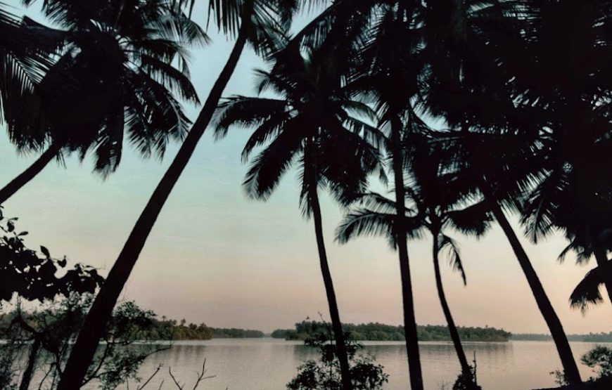 Delta beach backwaters / Kodi Bengre Beach – Karnataka