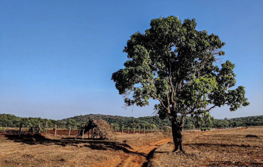 Tilari Back Water – Karnataka