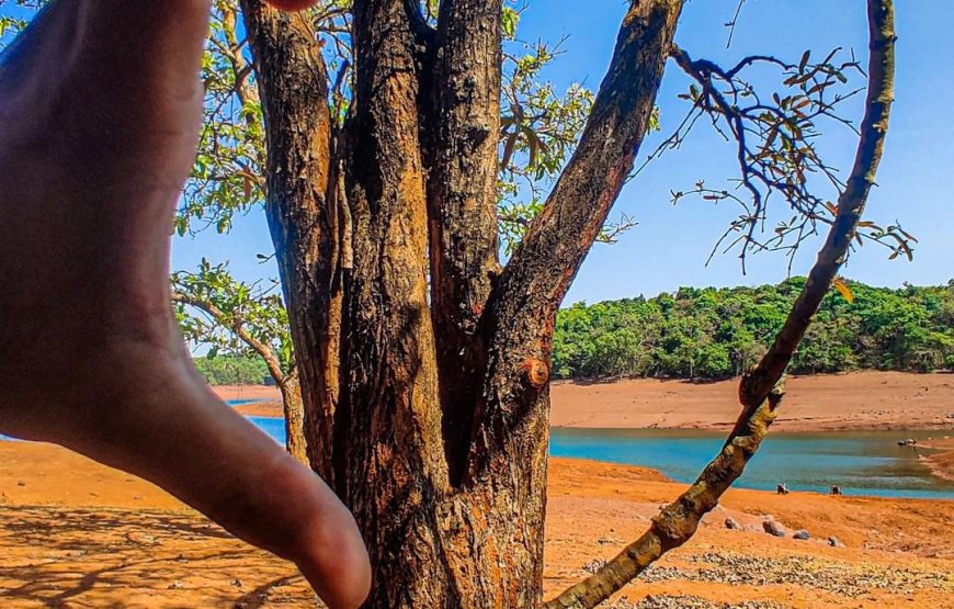 Tilari Back Water – Karnataka