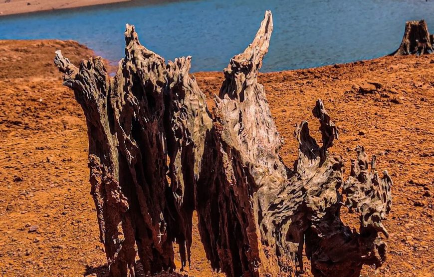 Tilari Back Water – Karnataka