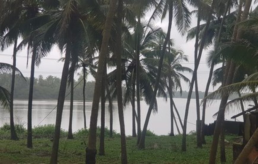 Delta beach backwaters / Kodi Bengre Beach – Karnataka