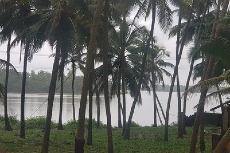 Delta beach backwaters / Kodi Bengre Beach – Karnataka