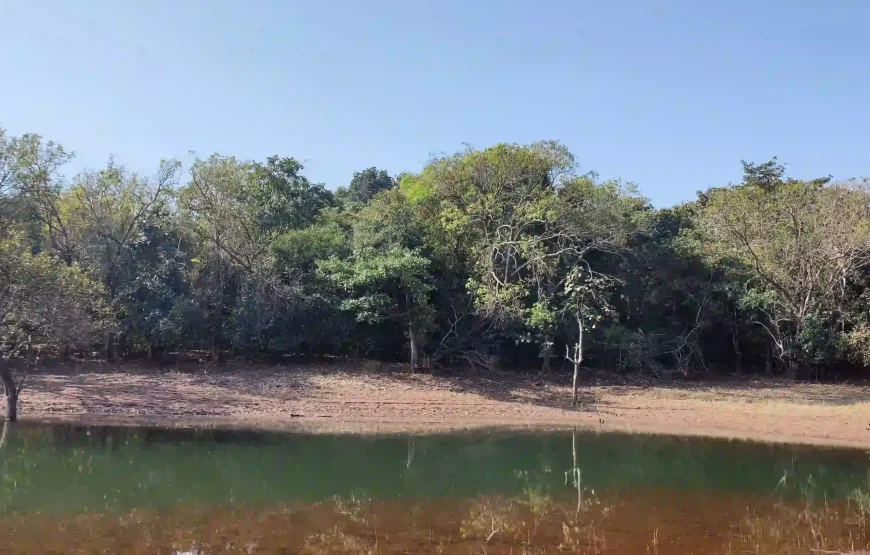 Tilari Back Water – Karnataka