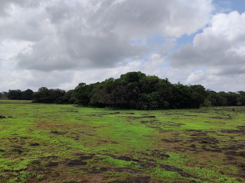 Sada Landscape / Sada Waterfall Trek – Karnataka