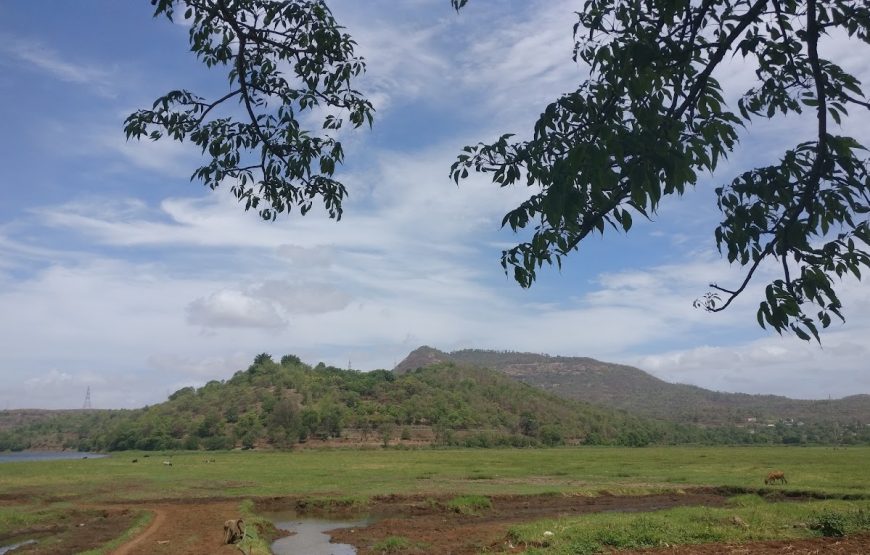Bird Watch Point – Park in Sangrun – Maharashtra
