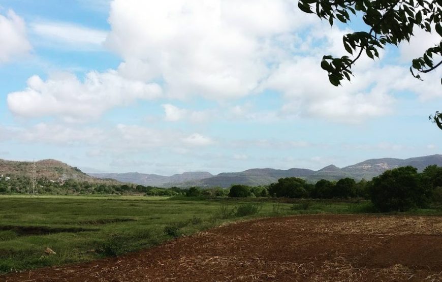 Bird Watch Point – Park in Sangrun – Maharashtra