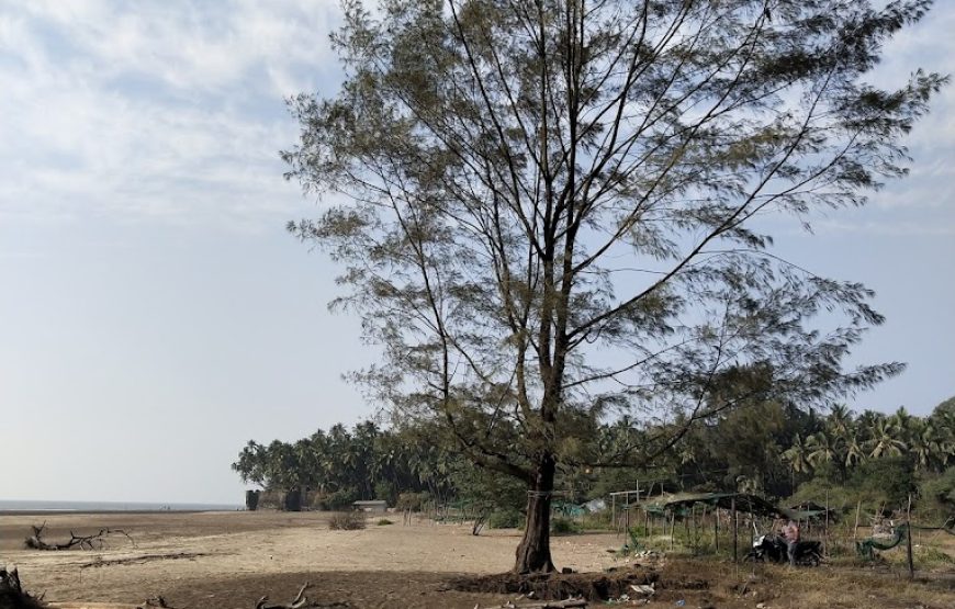 Revdanda Beach Camping – Maharashtra