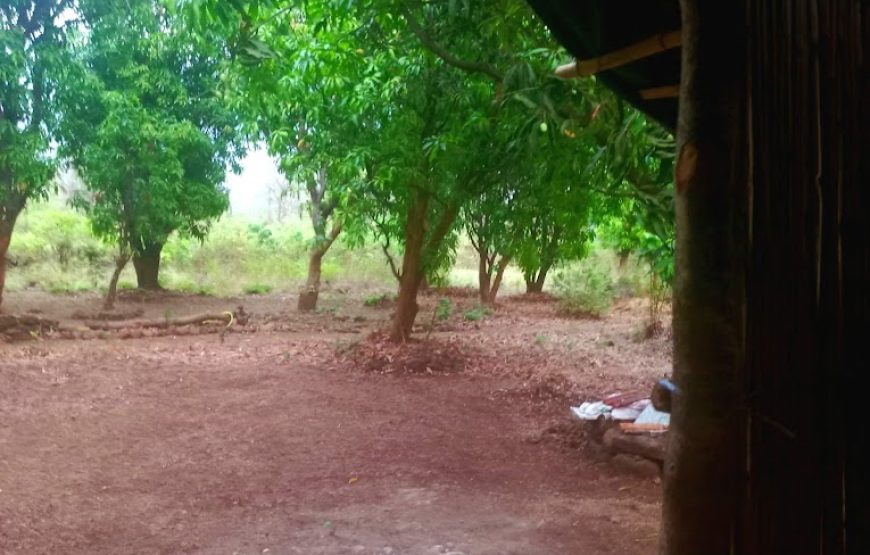 Falyan Jungle Retreat – Maharashtra