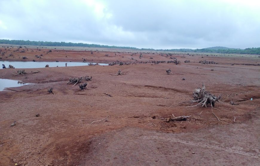 Patgaon Dam Backwater – Maharashtra