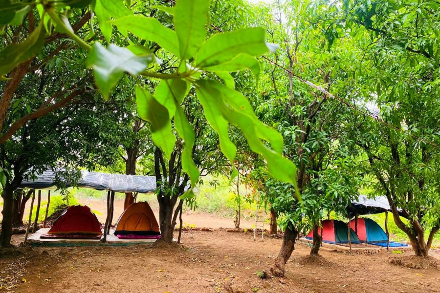 Falyan Jungle Retreat – Maharashtra
