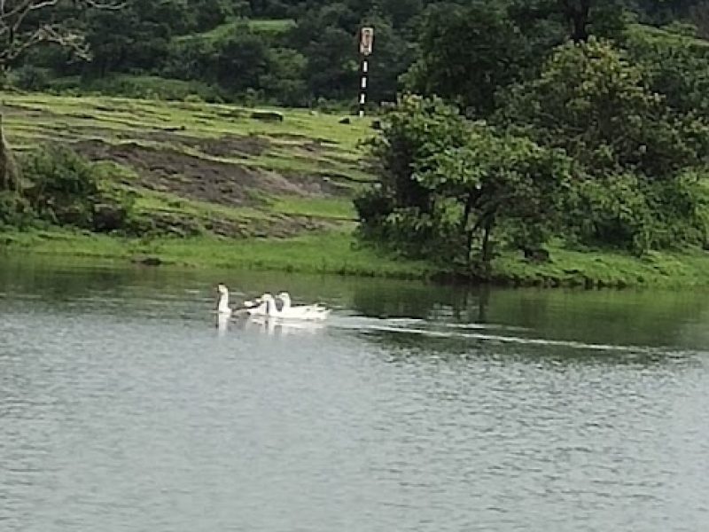 Hotel Killedar Naneghat – Maharashtra