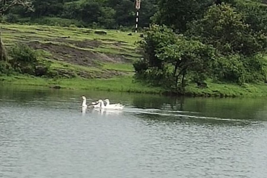 Hotel Killedar Naneghat – Maharashtra