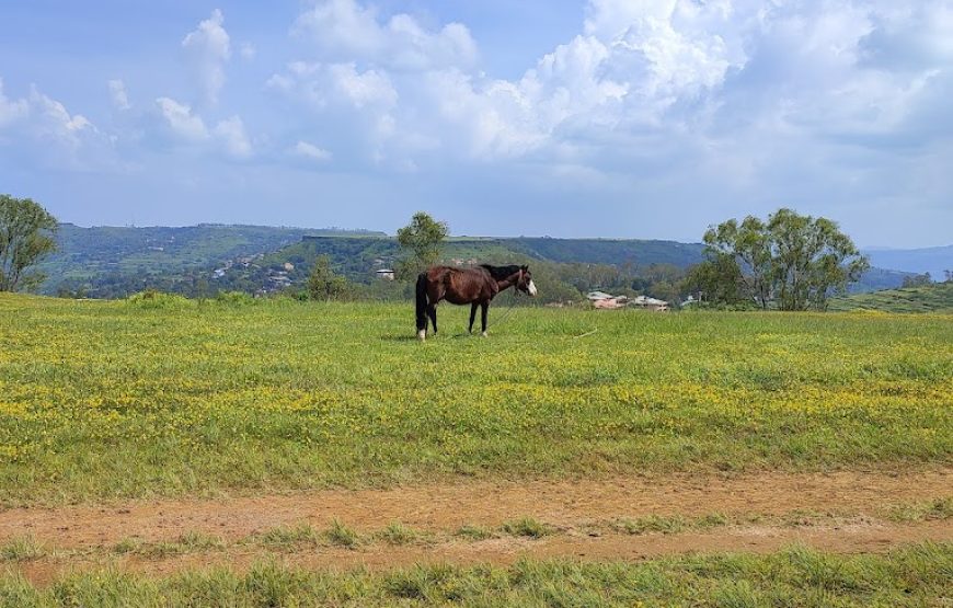 Table Land Lake – Panchgani, Maharashtra
