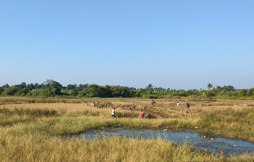 Mamachi Wadi Beach Mukkampada – Maharashtra