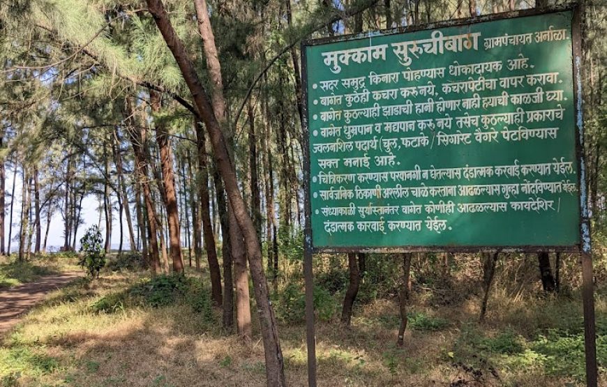 Mamachi Wadi Beach Mukkampada – Maharashtra