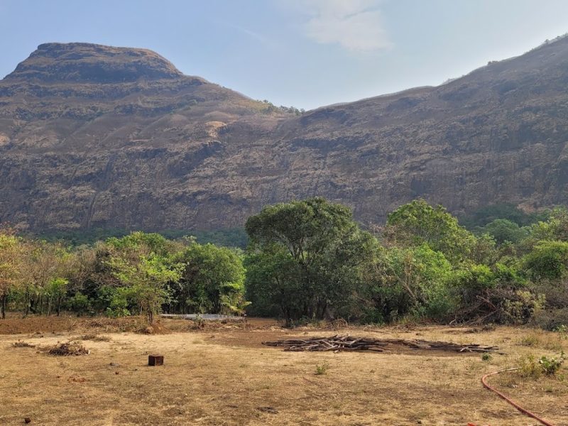Sahyadri Veg & Non-Veg Hotel – Tamhini Ghat Road, Maharashtra
