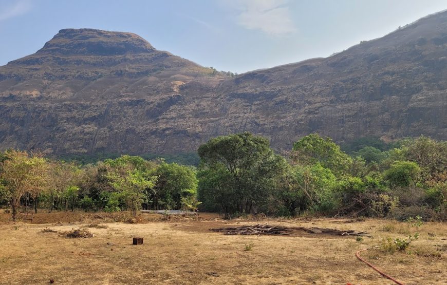 Sahyadri Veg & Non-Veg Hotel – Tamhini Ghat Road, Maharashtra