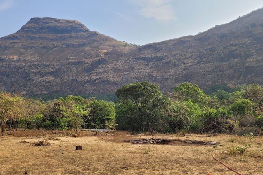 Sahyadri Veg & Non-Veg Hotel – Tamhini Ghat Road, Maharashtra