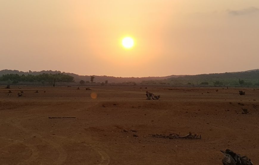 Patgaon Dam Backwater – Maharashtra