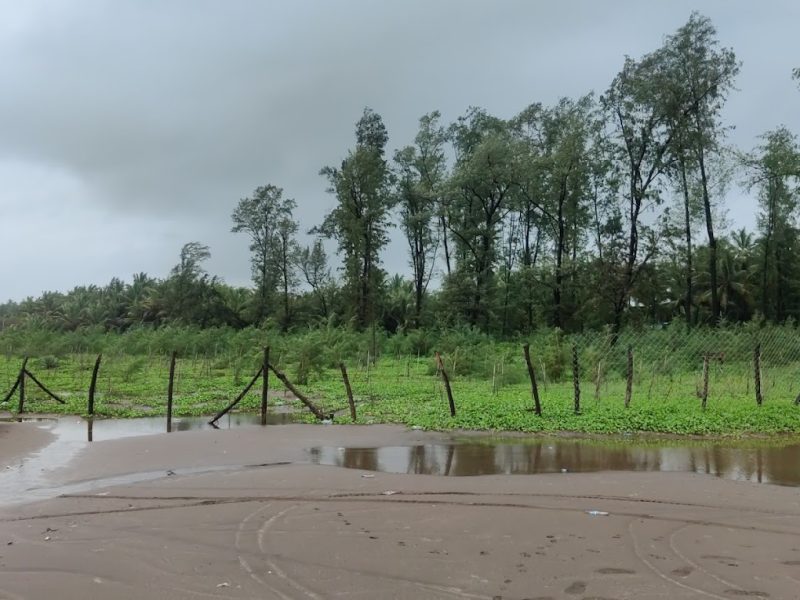 Revdanda Beach Camping – Maharashtra