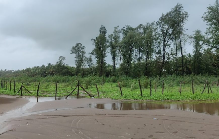 Revdanda Beach Camping – Maharashtra