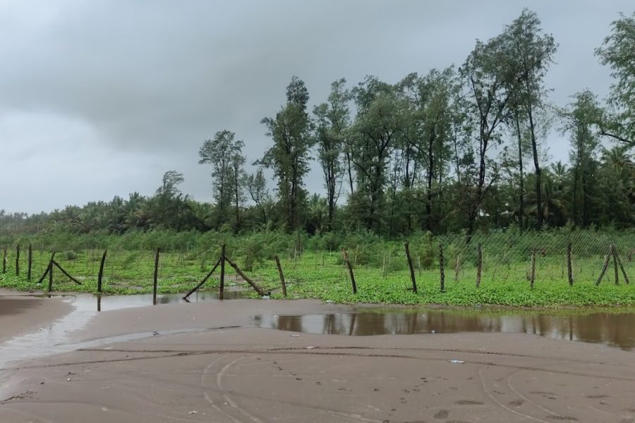 Revdanda Beach Camping – Maharashtra