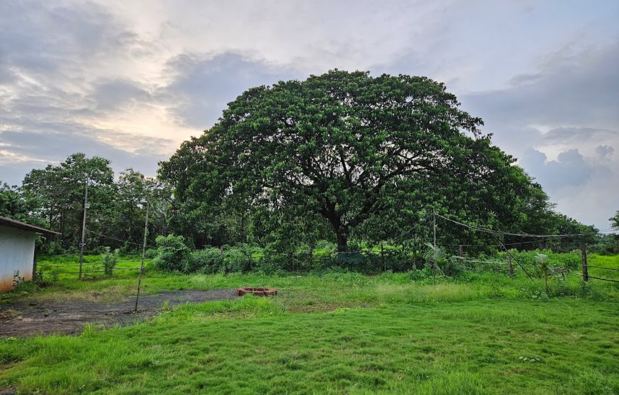 Campventure – kolad, Maharashtra