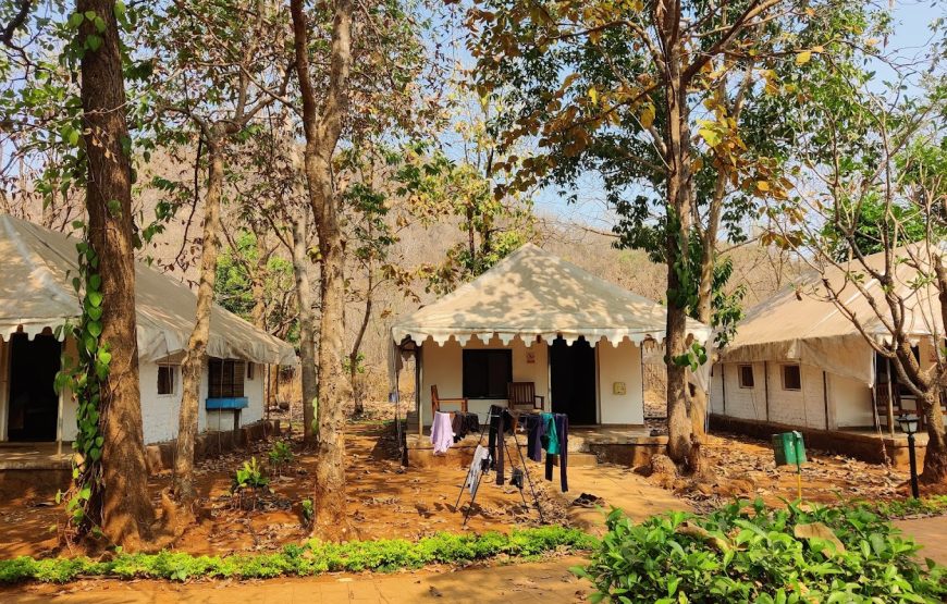 Empower Activity Camps – Maharashtra