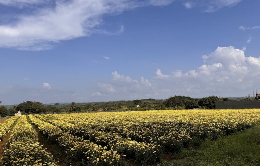 Vannam Lake – Tamil Nadu