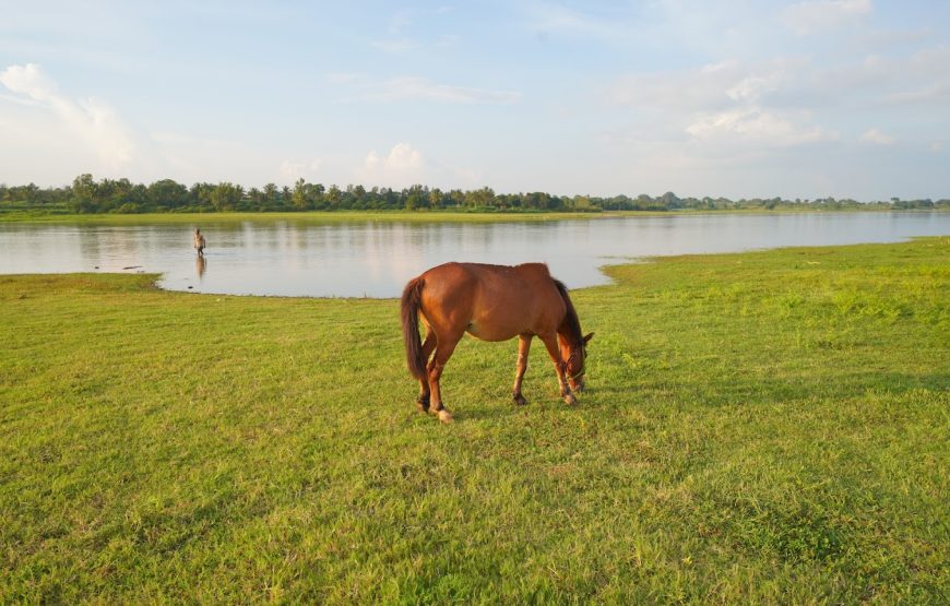 Vannam Lake – Tamil Nadu