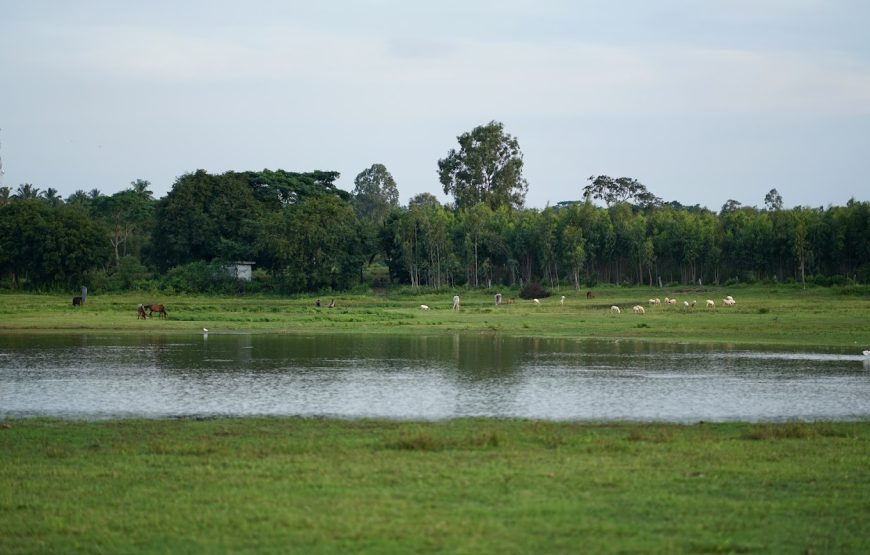 Vannam Lake – Tamil Nadu