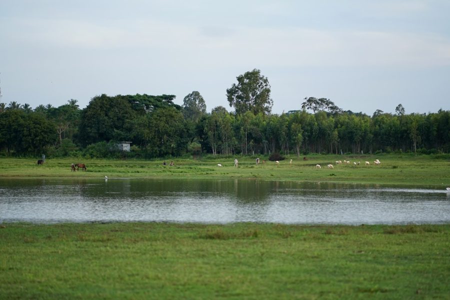 Vannam Lake – Tamil Nadu