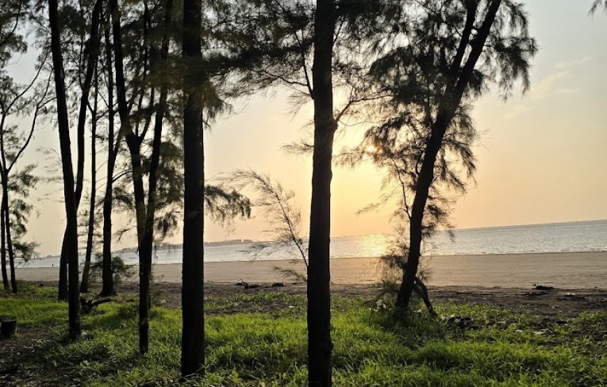 Mamachi Wadi Beach Mukkampada – Maharashtra