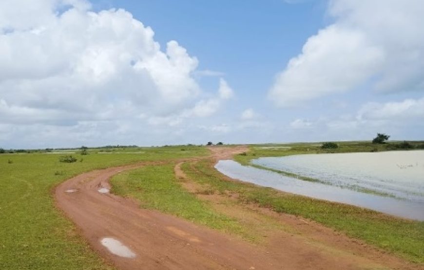 Masai Pathar – Maharashtra