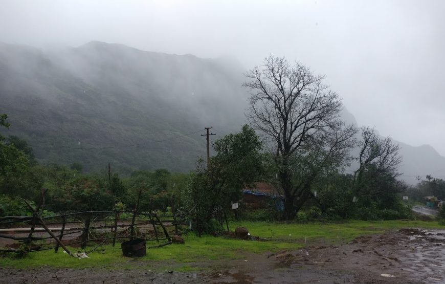 Sahyadri Veg & Non-Veg Hotel – Tamhini Ghat Road, Maharashtra