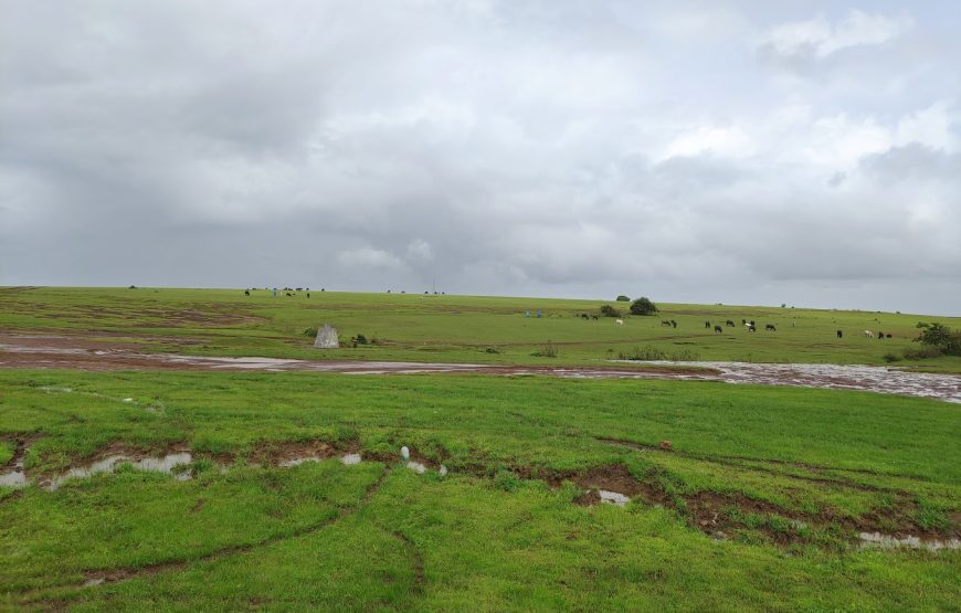 Masai Pathar – Maharashtra