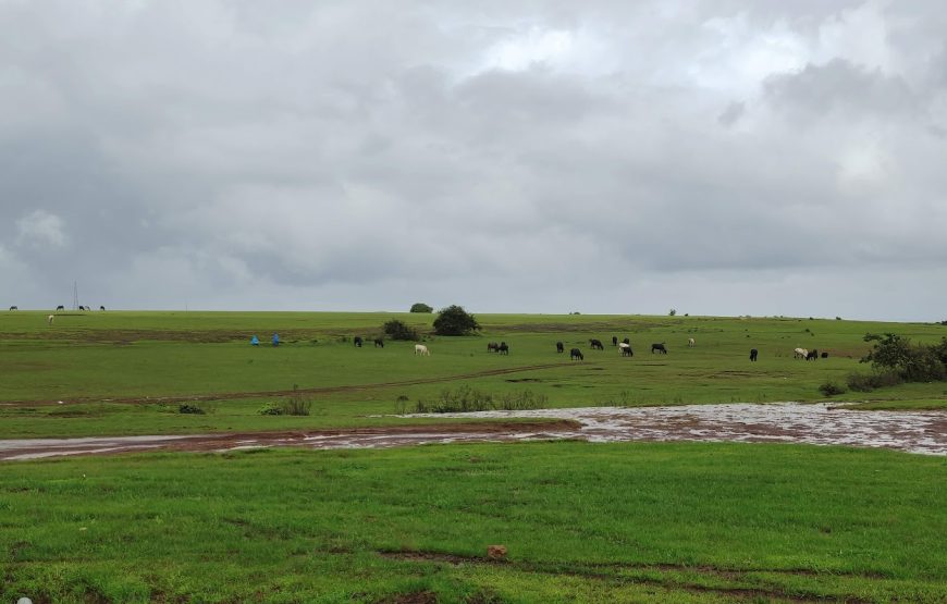 Masai Pathar – Maharashtra