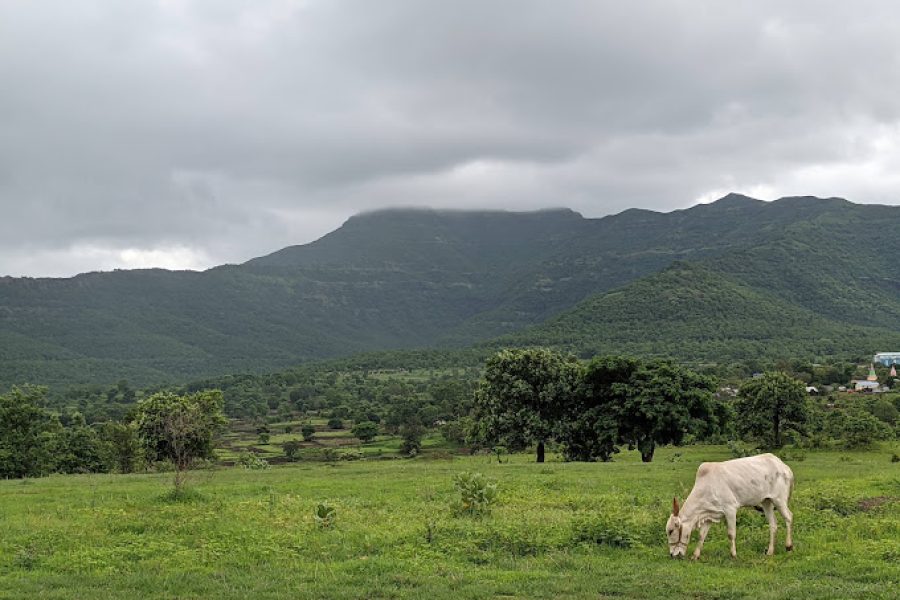 Pabe Ghat Viewing Point – Maharashtra