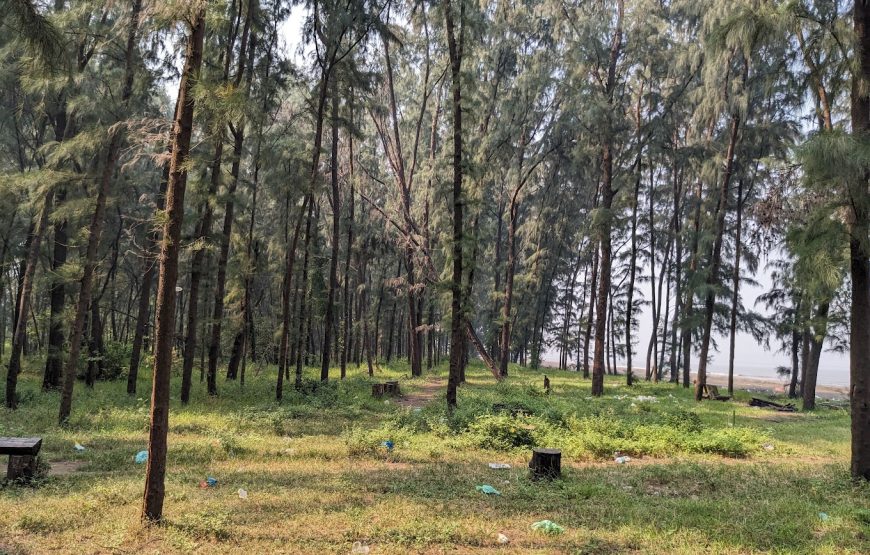 Mamachi Wadi Beach Mukkampada – Maharashtra