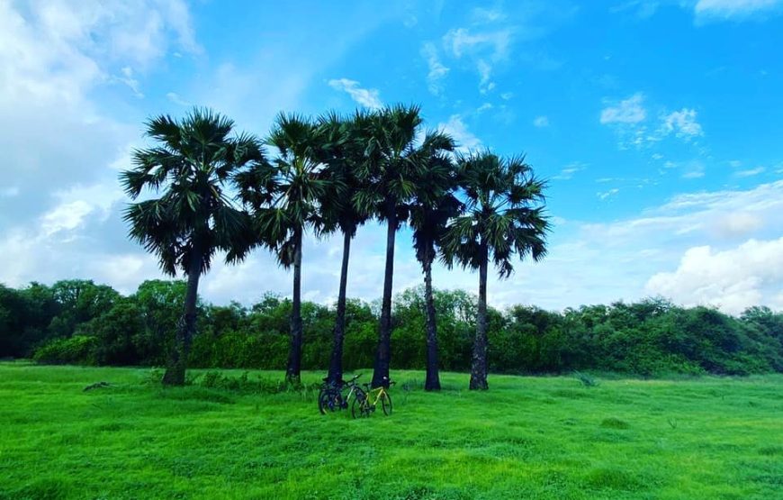 Bena Beach – Maharashtra
