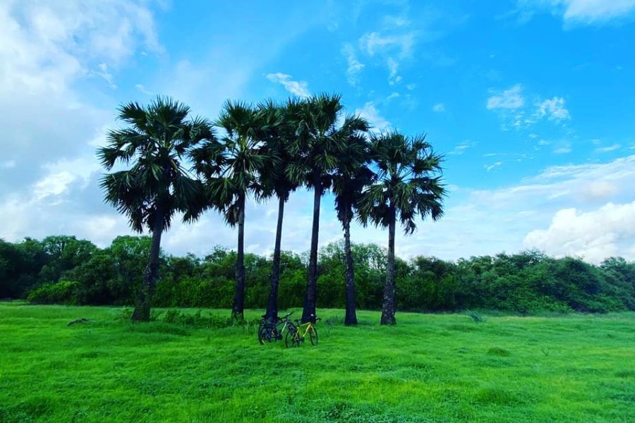 Bena Beach – Maharashtra
